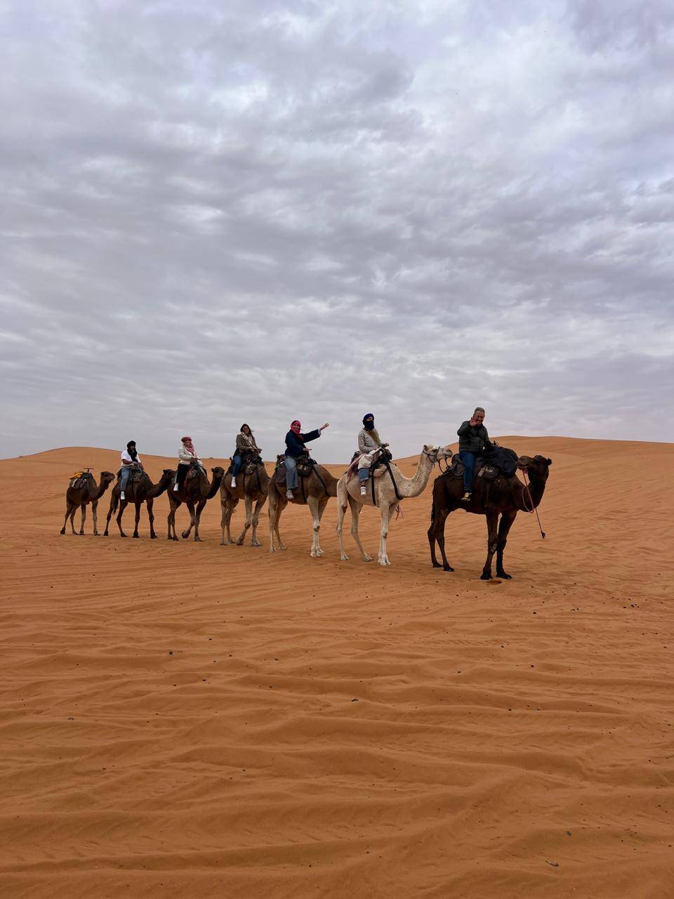 dromedarios turistas